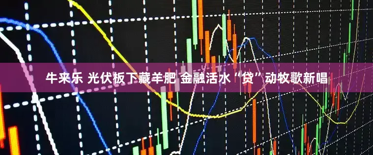牛来乐 光伏板下藏羊肥 金融活水“贷”动牧歌新唱