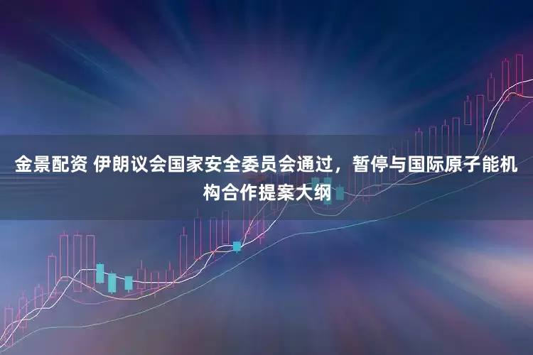金景配资 伊朗议会国家安全委员会通过，暂停与国际原子能机构合作提案大纲
