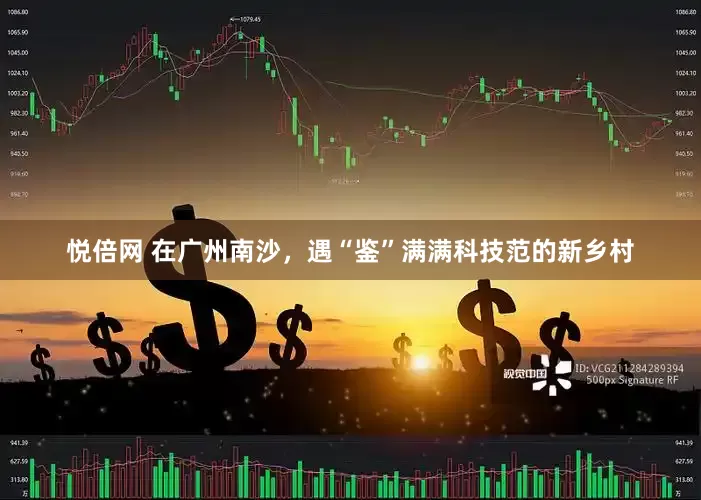 悦倍网 在广州南沙，遇“鉴”满满科技范的新乡村
