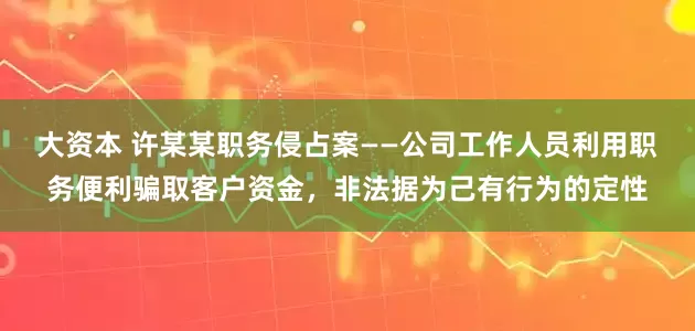 大资本 许某某职务侵占案——公司工作人员利用职务便利骗取客户资金，非法据为己有行为的定性