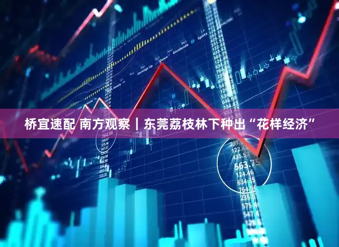 桥宜速配 南方观察｜东莞荔枝林下种出“花样经济”