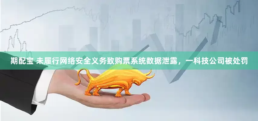 期配宝 未履行网络安全义务致购票系统数据泄露，一科技公司被处罚