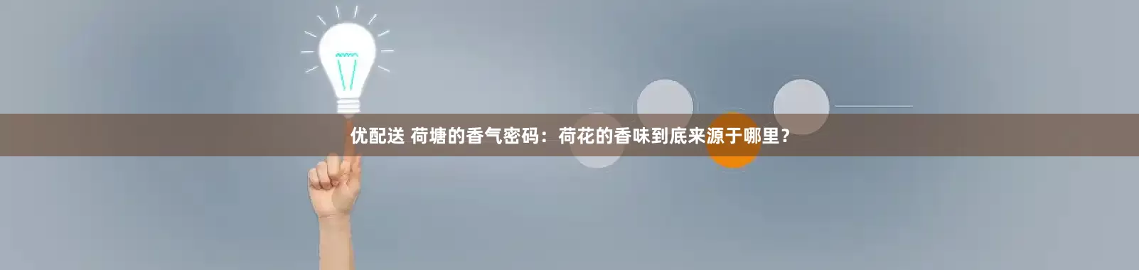 优配送 荷塘的香气密码：荷花的香味到底来源于哪里？