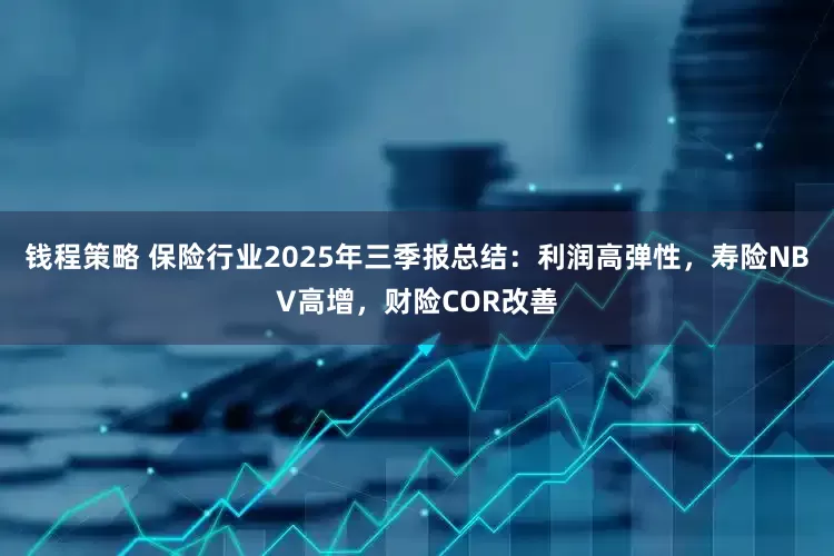 钱程策略 保险行业2025年三季报总结：利润高弹性，寿险NBV高增，财险COR改善
