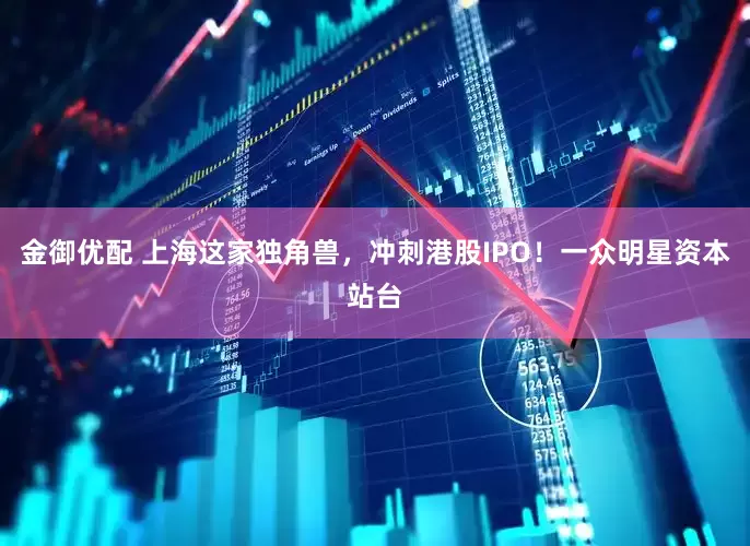 金御优配 上海这家独角兽，冲刺港股IPO！一众明星资本站台